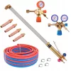 Set Tăiere Gaz Profesional, Torță 750mm, Furtun Dublu 10m
