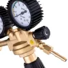 Regulator de Presiune Azot Technics 2081 16 BAR, 30 m³/h