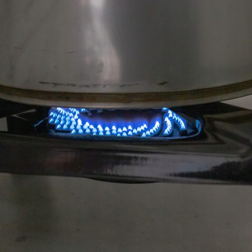 Arzător pe Gaz 8.8 kW Fontă cu Bază Oțel, Propan-Butan