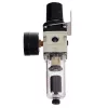 Reductor de Presiune 1/4" cu Filtru Uscător și Drenaj Automat