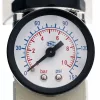 Reductor de Presiune 1/4" cu Filtru Uscător și Drenaj Automat