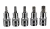 Set Biți și Capete TORX 30 bucăți CrV, cu suport