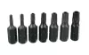 Set Biți și Capete TORX 30 bucăți CrV, cu suport