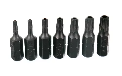 Set Biți și Capete TORX 30 bucăți CrV, cu suport