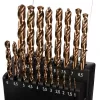 Set Burghie Metal HSS Cobalt, 1-10 mm, 19 Bucăți, Carcasă Plastic