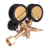 Reductor de Azot Mini Technic 2076 cu 2 Manometre, 16 Bari