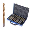 Set Burghie HSS TiN, 170 Bucăți, 1-10 mm, Valiză Metalică