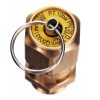 Supapă de Siguranță Alamă 3/8" 12 Bari Compresoare