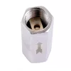 Supapă Anti-retur Liniară 1/4", 15 bar, 860 l/min