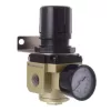 Regulator de Presiune Pneumatică 1/2" AR4000-04 cu Manometru, 0.5-8.3 bar