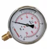 Manometru cu Glicerină 100 mm, 0-25 bar, Conexiune Inferioară 1/2"